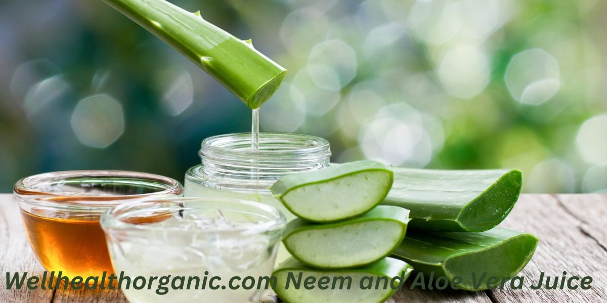 Wellhealthorganic.com Neem and Aloe Vera Juice