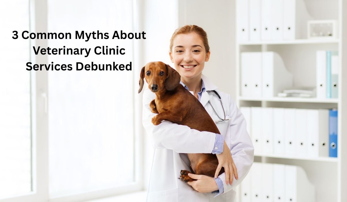 3 Common Myths About Veterinary Clinic Services Debunked