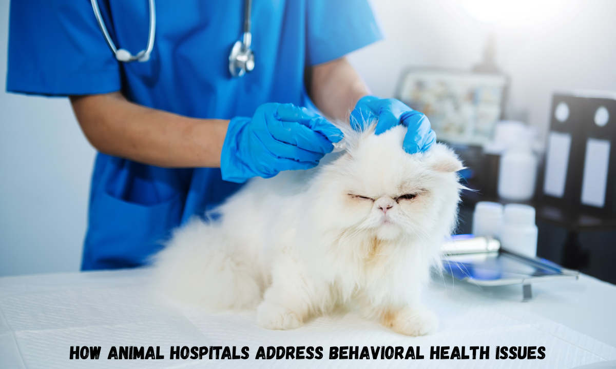 How Animal Hospitals Address Behavioral Health Issues