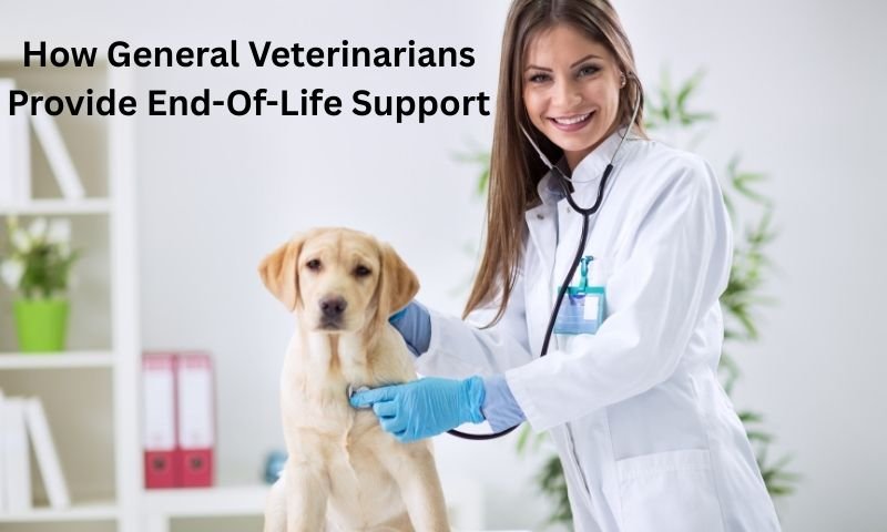 How General Veterinarians Provide End-Of-Life Support