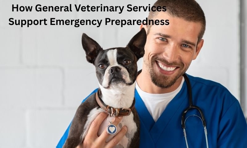 How General Veterinary Services Support Emergency Preparedness