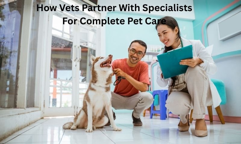 How Vets Partner With Specialists For Complete Pet Care
