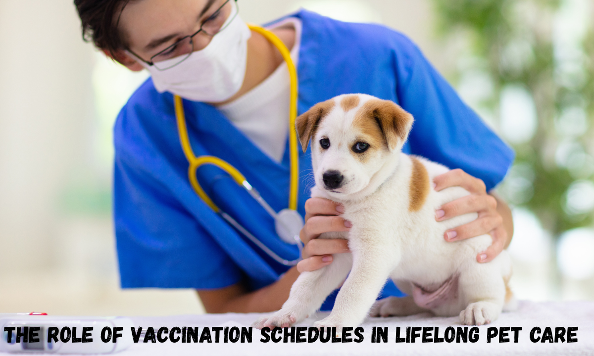 The Role Of Vaccination Schedules In Lifelong Pet Care