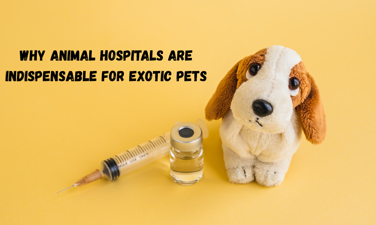 Why Animal Hospitals Are Indispensable For Exotic Pets