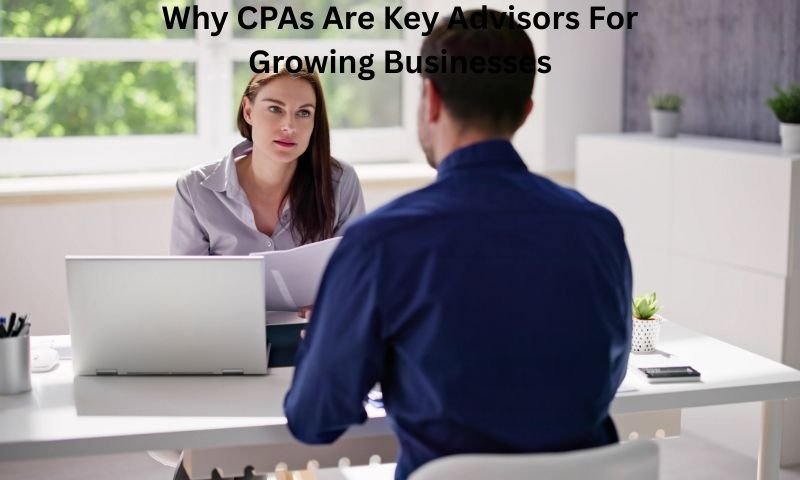 Why CPAs Are Key Advisors For Growing Businesses (1)
